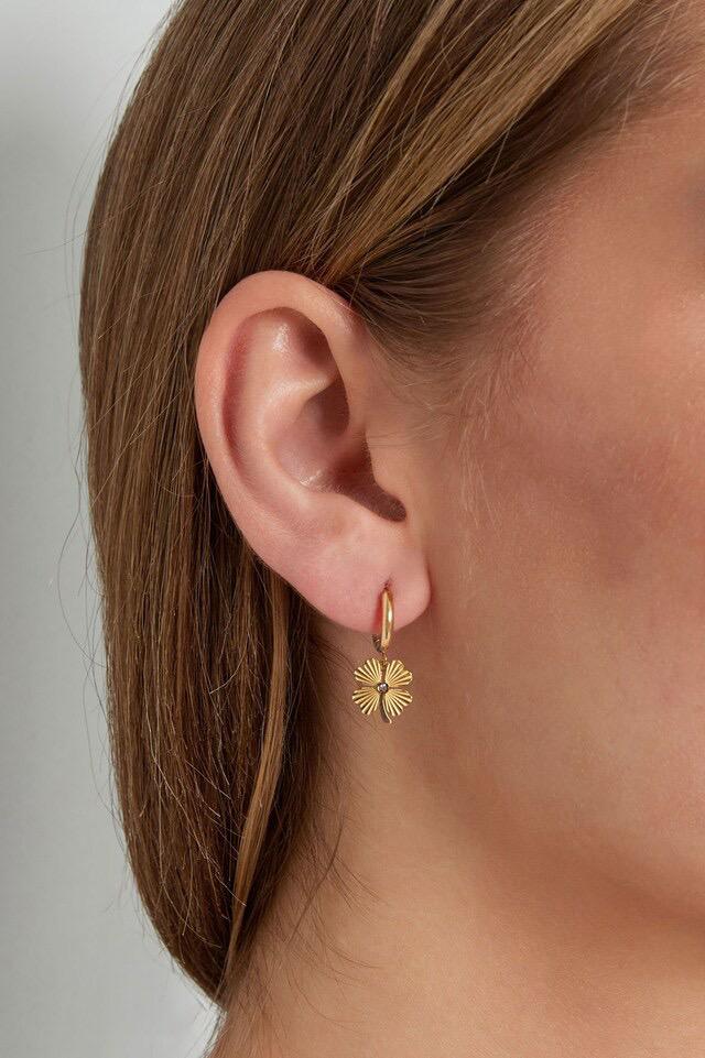 Give Me Luck Oorbellen – Gouden / zilver Kleur | Stijlvol, Elegant en Geluksbrenger